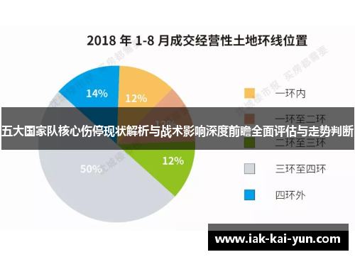 五大国家队核心伤停现状解析与战术影响深度前瞻全面评估与走势判断